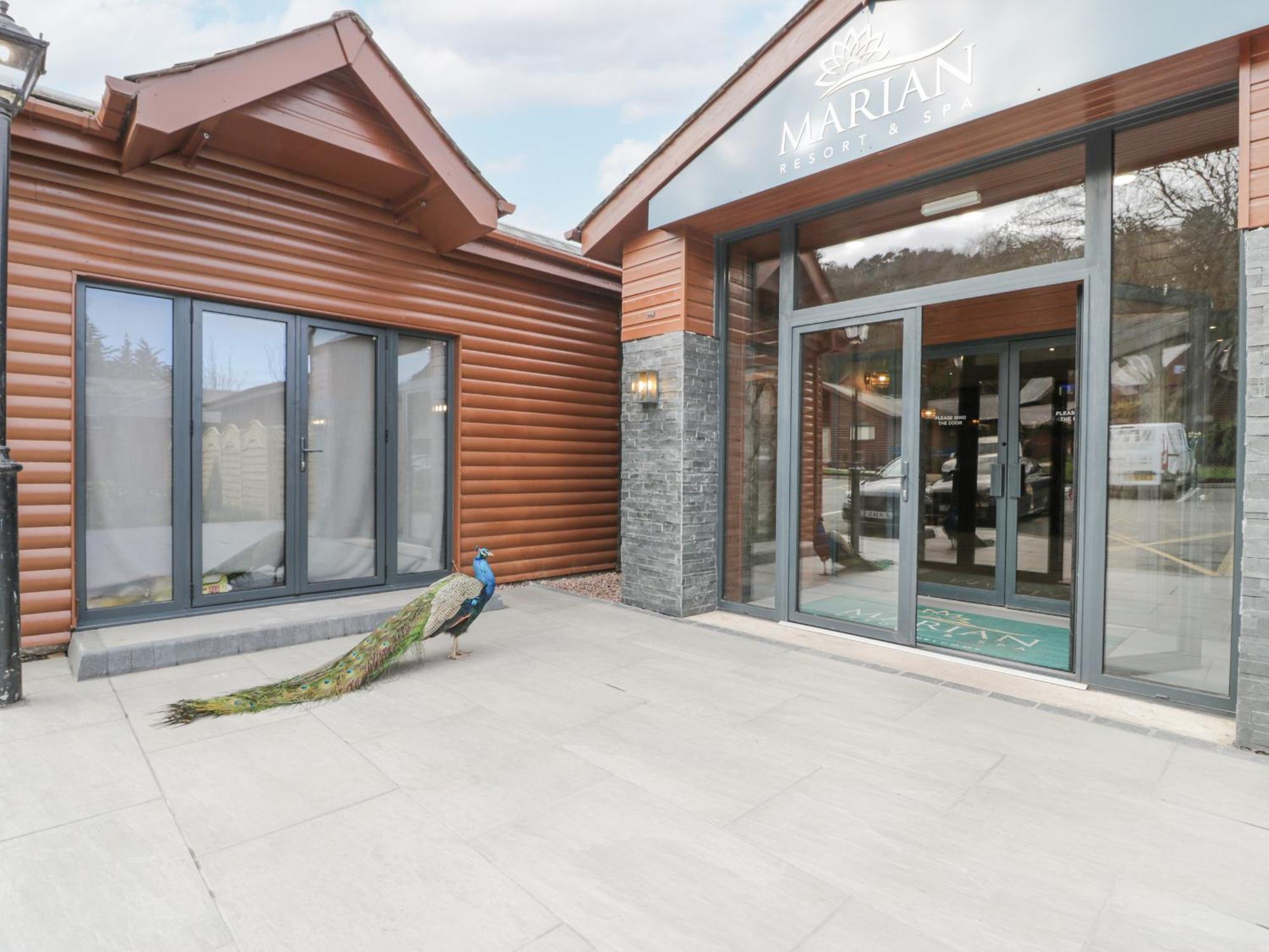 Luxury Lodge 62 Rhyl Kültér fotó